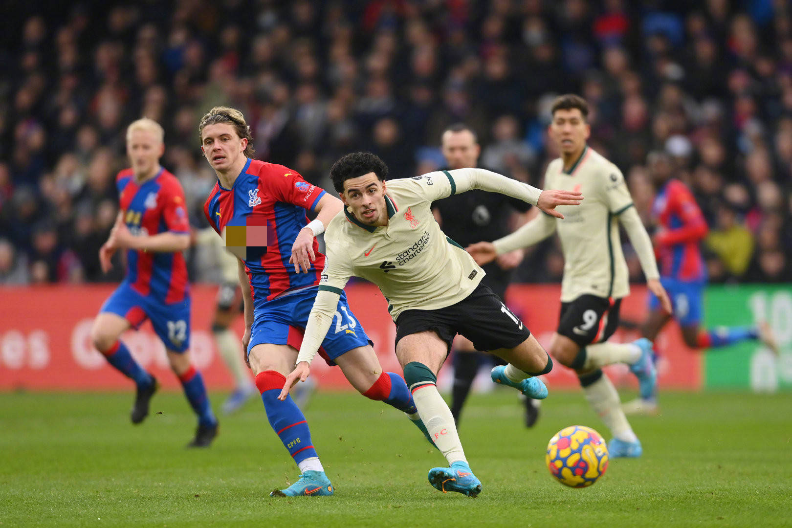 安切洛蒂 安切洛蒂